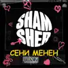 Сени менен