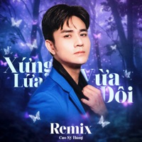 Xứng Lứa Vừa Đôi (Remix) - Single - Cao Sỹ Hùng