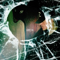 sorry ma - Single - action figurez, Jason LoCricchio & Jarrod Gipson