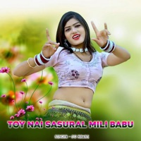 Toy Nai Sasural Mili Babu - Single - DG Mawai