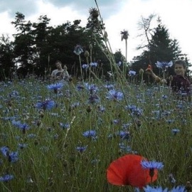 I HOPE THAT YOU STILL LOVE ME 0314 & Mary