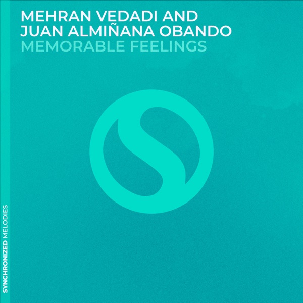 Memorable Feelings - Single
