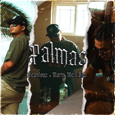 Palmas (feat. Blss & Marin Mc) - Single