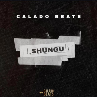Shungu - Single