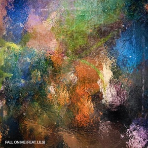 Fall On Me (feat. Lils) - Single