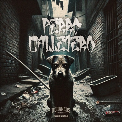 Perro Callejero - Single