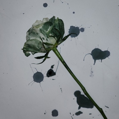 My Tummy Hurts - Single