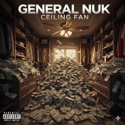 Ceiling Fan - Single