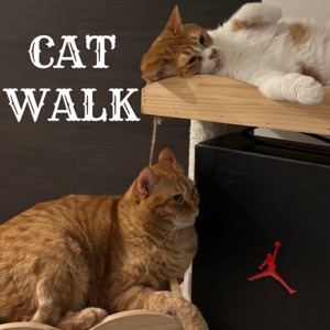 Cat Walk
