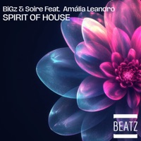 Spirit of House - Single - BiGz, Soire & Amalia Leandro