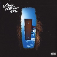 Vibes Never Die (feat. Mike Squires) - Single - Doss & JayRoddy