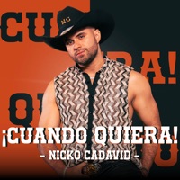 ¡Cuando Quiera! - Single