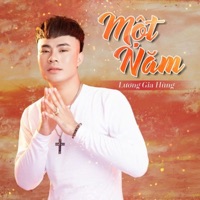 Một Năm - Single - Lương Gia Hùng
