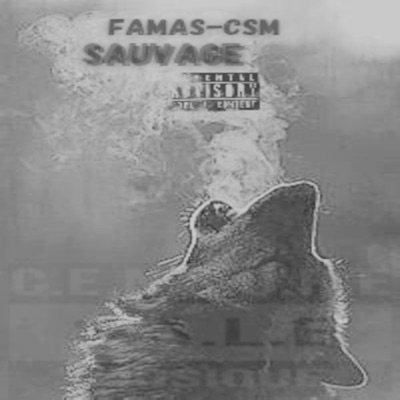 SAUVAGE (feat. famas-csm)