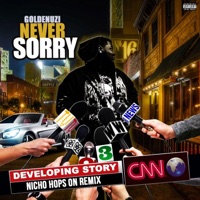 Never Sorry (feat. Nicho) [Remix] - Single - Goldenuzi