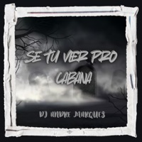 Se Tu Vier Pro Cabanaa - Single - DJ Andre Marques