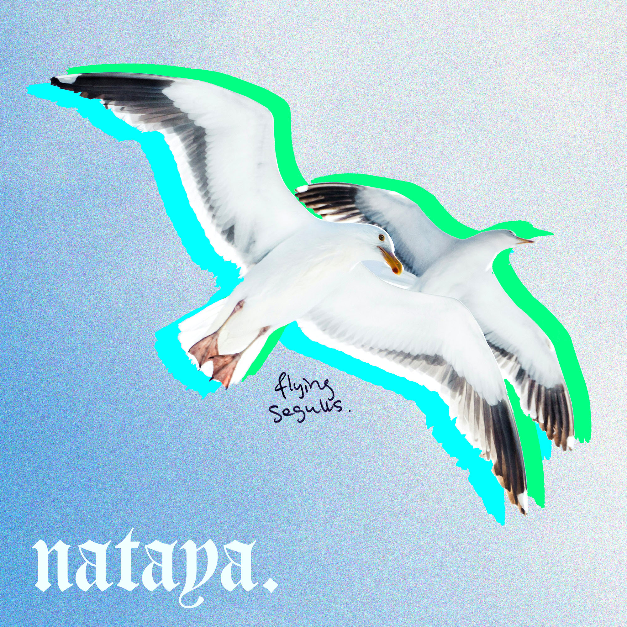 Flying Seagulls - Single