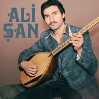 Göle Gidelim Göle - Single - Alişan