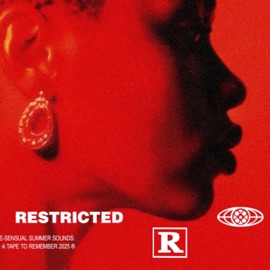 FENTY DRESS LARIICA & TENN