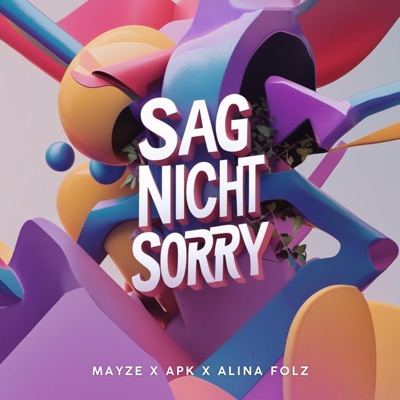 Sag nicht sorry - Single