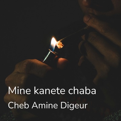 cheb amine digeur - Saknete Marseille (Live)