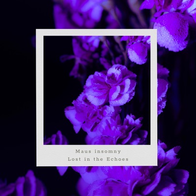 Lost In The Echoes - Single
