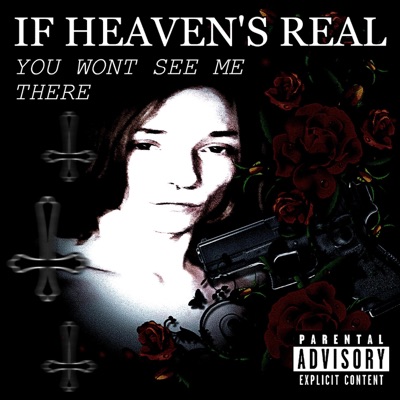 If Heaven's Real