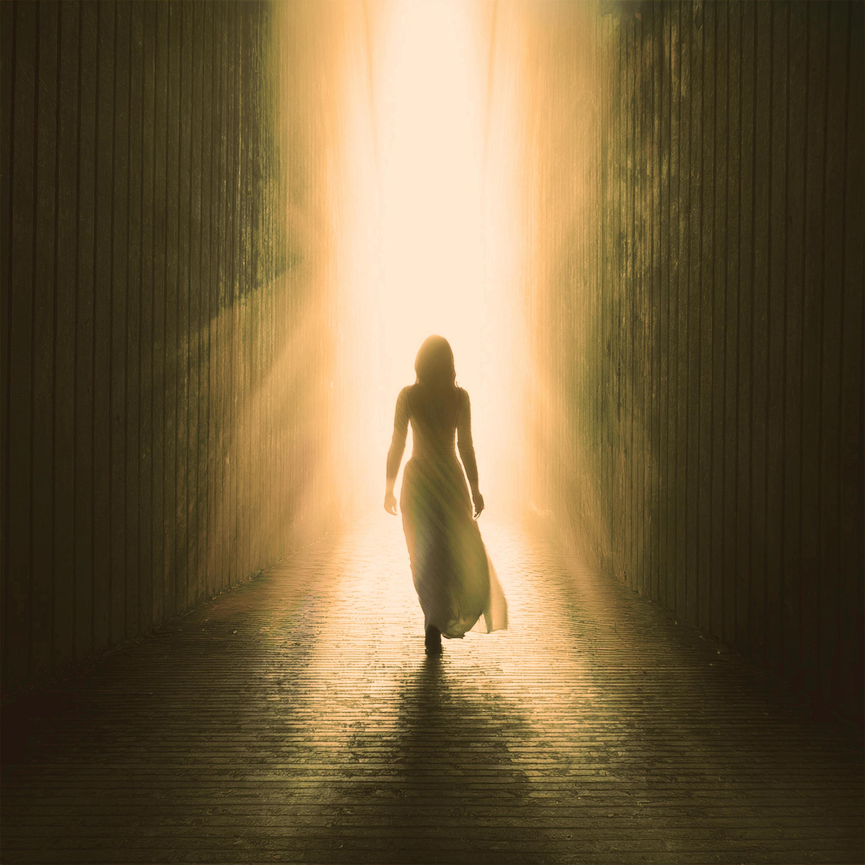 I'll Find You In The Light - Single