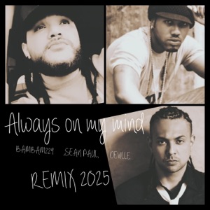 Always on my mind (Always on my mind remix) - Single