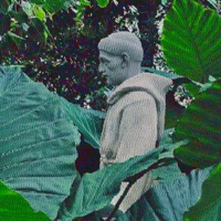 Want me (feat. THEHOMEBOIII) - Single - Lano