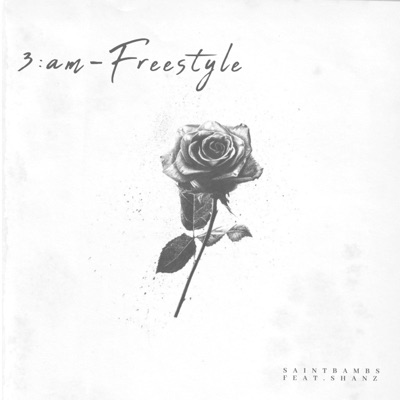 3:am  (feat. Shanz) [Freestyle] - Single