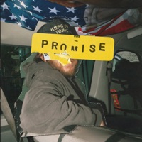 The High Curbs & The Red Pears Ablum Cover