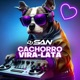 Cachorro Vira Lata Single