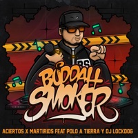 Aciertos X Martirios (feat. Polo A Tierra & Dj Lock Dog) - Single - Buddah Smoker