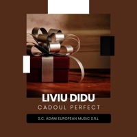 Cadoul perfect - Single - Liviu Didu