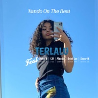 Terlalu (feat. Achel'B, LB, Aldo23, Erick Lee & Score48) - Single - Nando On The Beat