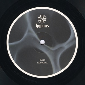Radiolaria - EP