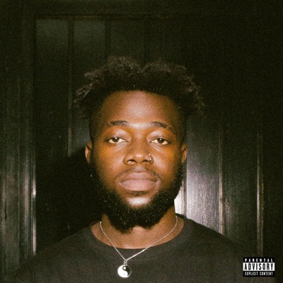 Passion is a Luxury - Single