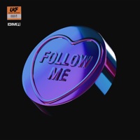 Follow Me (Mashd N Kutcher Remix) - Single - ShockOne