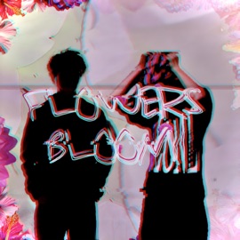 Flowers Bloom (feat. VLON3) Lil Linki