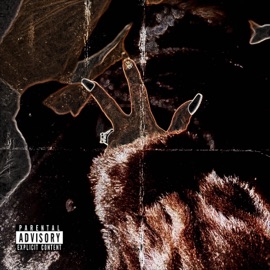 Milton (drippxyblue x almightyrene) BillyB