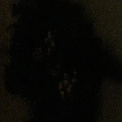 MIDNIGHT BLING - Single