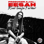 producer Ajal & Eesah - Real Ganja Farmer