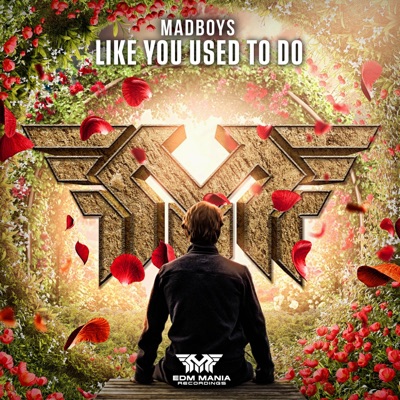 Like You Used to Do - Single