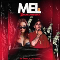 Mel da Macumbeira - Single - Mc Gabby & DJ BN TORVIC