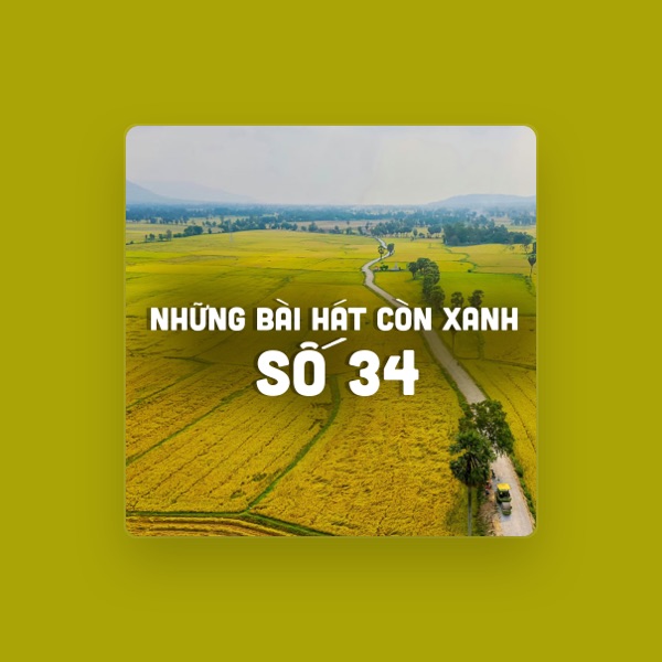 Mỹ Trâm's avatar