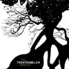 Les djinns (Trentemøller Remix)