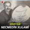 Skala - Necmedîn Xulamî lyrics