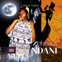 Tingika Ndani - Single - Stevie Tellem