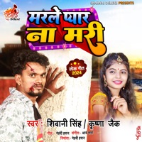 Marle Pyar Na Mari - Single - Shivani Singh & Krishna Zaik